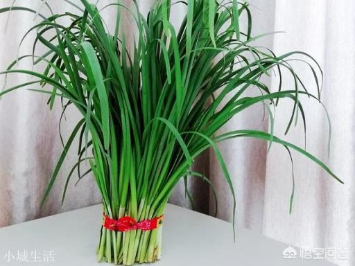 韭菜餡怎么調比較好吃？