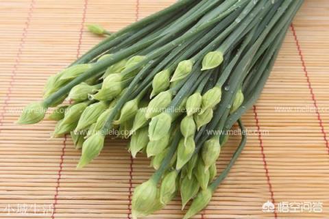 韭菜餡怎么調比較好吃？