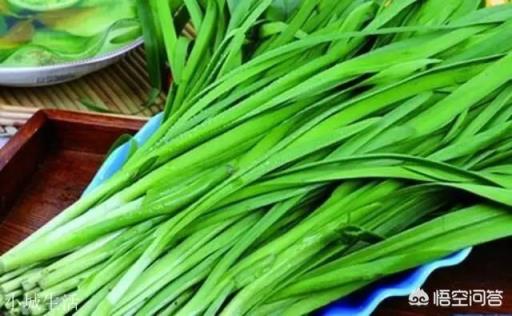 韭菜餡怎么調比較好吃？
