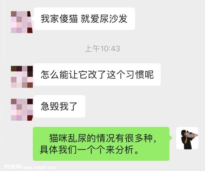 篇 猫咪乱拉怎么办？猫砂及猫砂盆