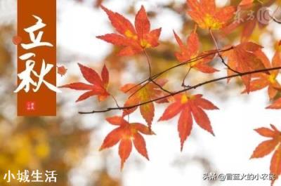 今年立秋之后,会变冷还是热?