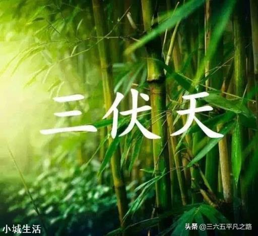 今年立秋后有秋老虎吗？立秋后农民需要注意什么呢？