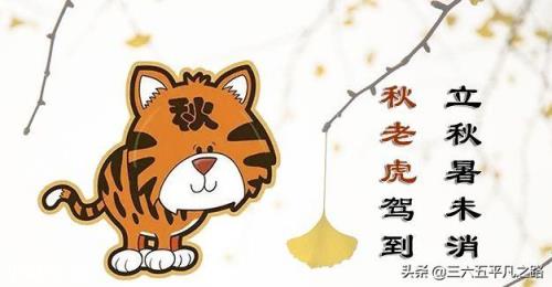 今年立秋后有秋老虎吗？立秋后农民需要注意什么呢？