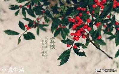 今年立秋后有秋老虎吗？立秋后农民需要注意什么呢？