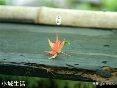 今年立秋后有秋老虎吗？立秋后农民需要注意什么呢？