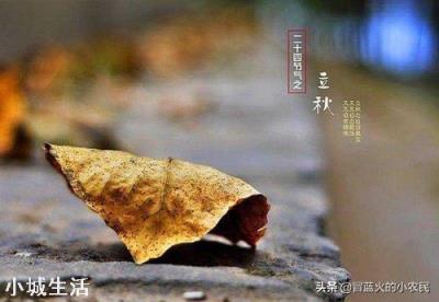今年立秋后有秋老虎吗？立秋后农民需要注意什么呢？