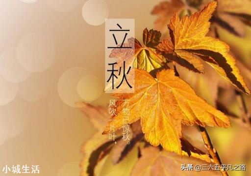 今年立秋后有秋老虎吗？立秋后农民需要注意什么呢？