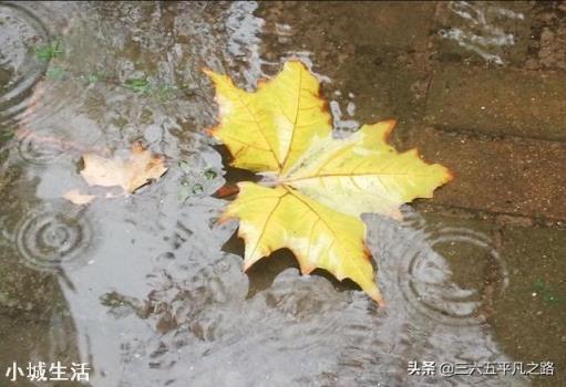 今年立秋后有秋老虎吗？立秋后农民需要注意什么呢？