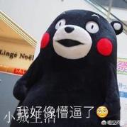 自媒体坚持了五个月写了800多篇原创文章收入是5块6，你还会坚持吗？