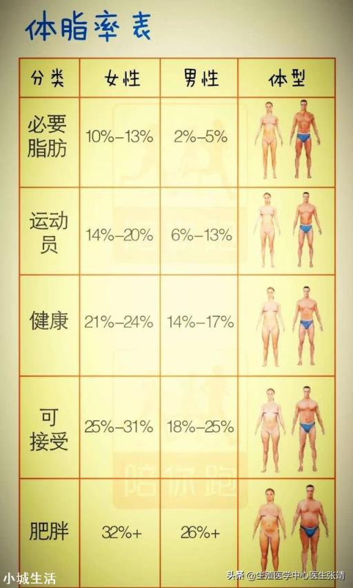 体重和体脂率你更在意哪一个,为什么?