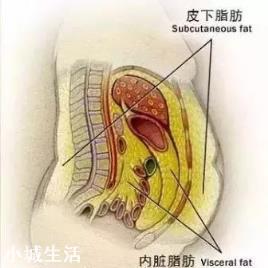 体重和体脂率你更在意哪一个,为什么?
