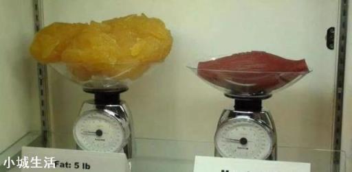 体重和体脂率你更在意哪一个,为什么?