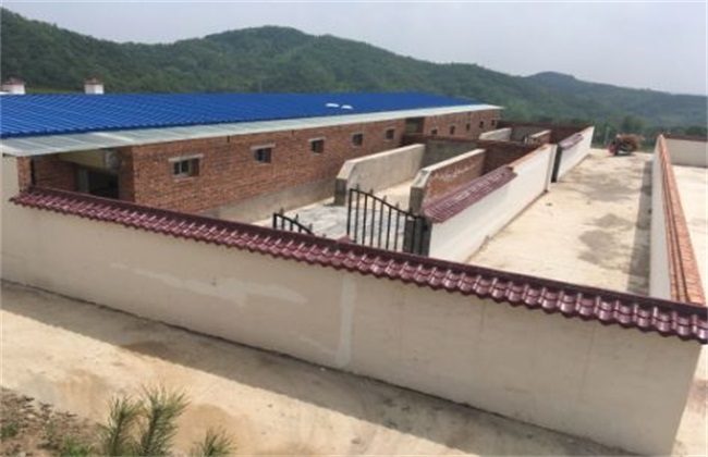 养牛场建设方案