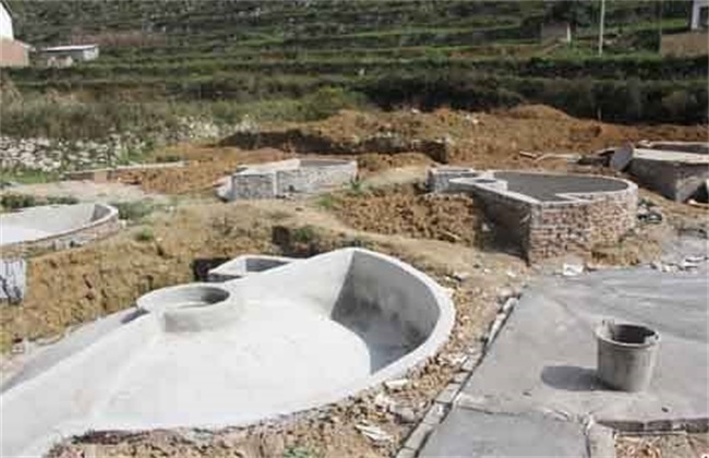 养牛场建设方案