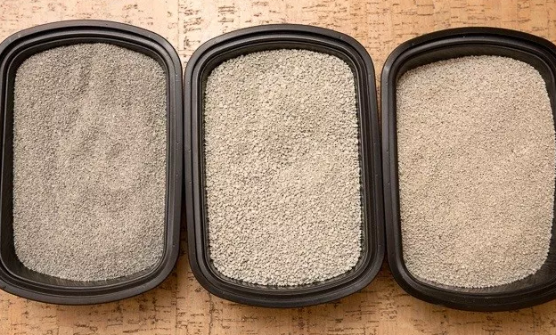 当猫咪不愿意用猫砂盆了,这些问题要注意!