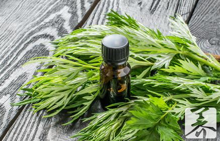 艾草洗澡有什么好處 艾草可以預防婦科病