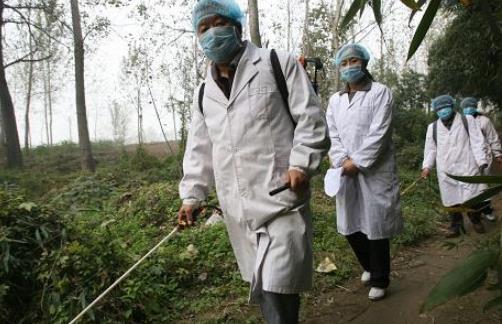 《肘后备急方》记载距今已大约1600年 世界最早记载的恙虫病症