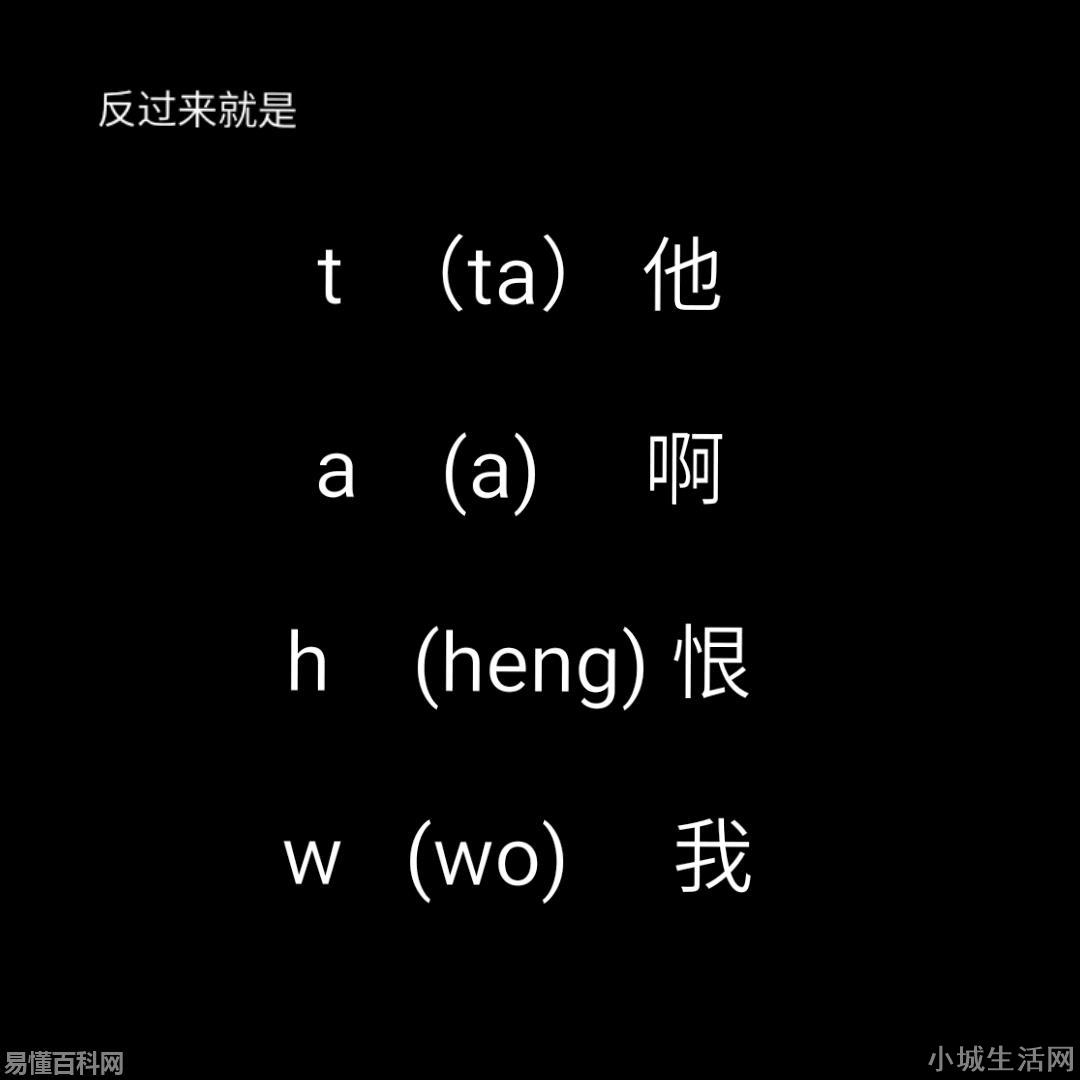 what是什么意思(what的网络用语是什么梗)