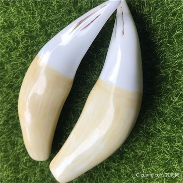 如何用手电筒辨别象牙 树脂象牙和真象牙区别