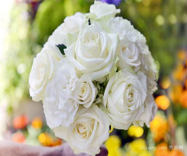 白色玫瑰花花语是什么意思 白色玫瑰花代表什么