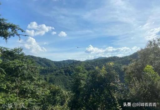 江西逃犯曾春亮，會不會已經餓死或者自殺？