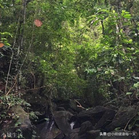 江西惡徒曾春亮，按現在的警力和追蹤技術，多久能將他繩之以法？