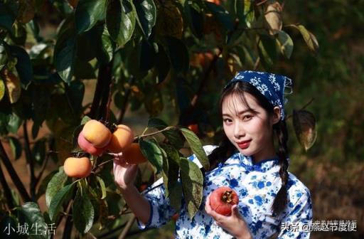 《西游记》为什么没有黄瓜精柿子精一类的妖精?