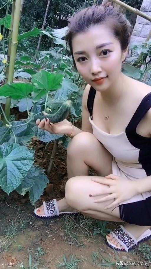 《西游记》为什么没有黄瓜精柿子精一类的妖精?