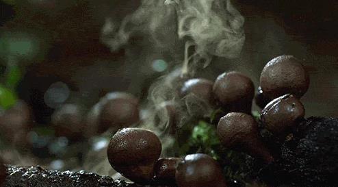 昆山哪個醫院割包手術好？昆山紫荊怎么樣？昆山紫荊醫院正規嗎？