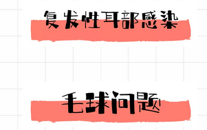 再把食物过敏当做猫藓，当心猫咪秃了！
