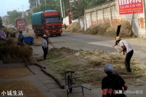 农民在乡村道路晒粮被外地重行车车辆碾碎麦。村民有权挡车辆吗？