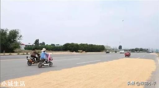 农民在乡村道路晒粮被外地重行车车辆碾碎麦。村民有权挡车辆吗？