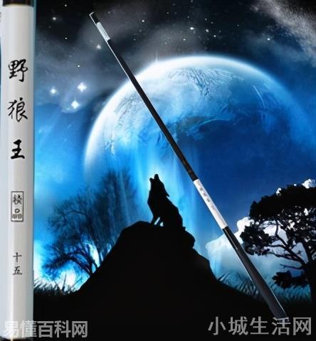 蓝图是什么意思(蓝图的网络用语是什么梗)