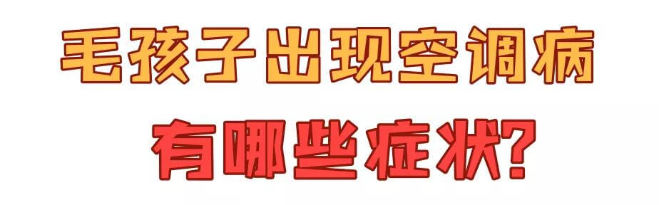 宠物也会得空调病？这几个前兆你可得注意了！