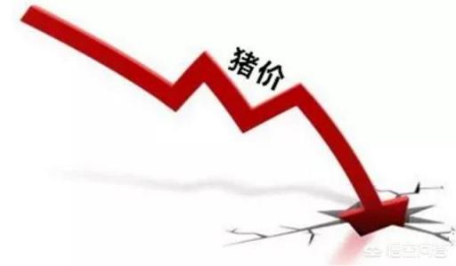 猪价“惊天暴降”，未来猪市还能“雄起”吗？