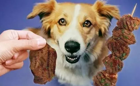 狗狗有什么饮食禁忌吗？来了解一下狗狗不能吃的这些食物吧！
