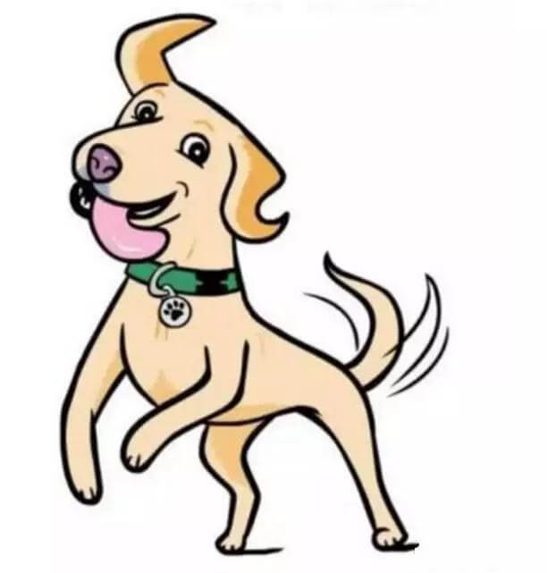 狗狗这些行为是在向主人表达爱意