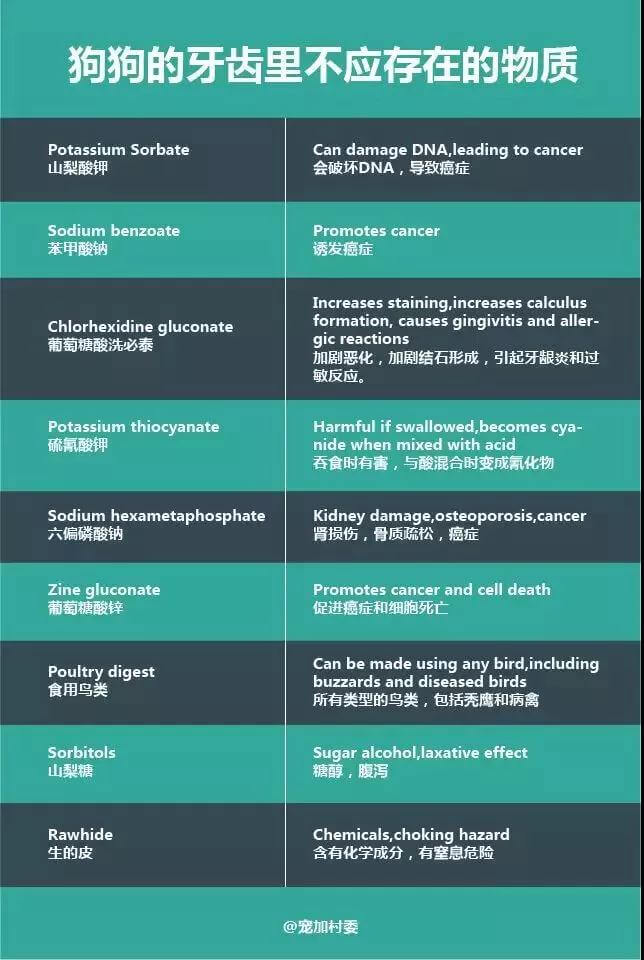 口腔疾病!80%以上的成犬都有这个问题