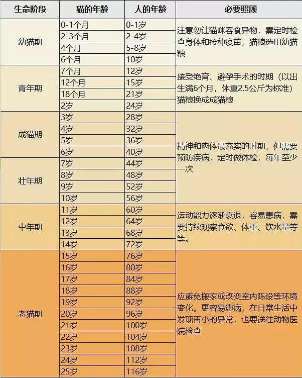 猫咪变老，有哪些征兆？