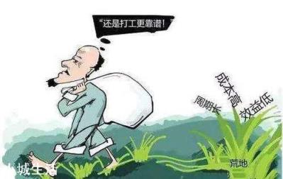 是什么因素导致一些农民丧失种地积极性?
