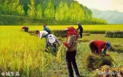 是什么因素导致一些农民丧失种地积极性?