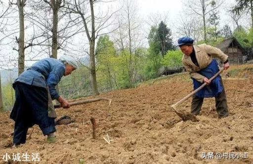 是什么因素导致一些农民丧失种地积极性?