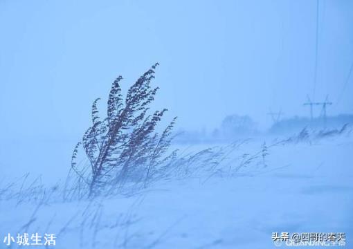 目前，农村还有吃不上饭的家庭吗？是什么原因导致吃不上饭呢？