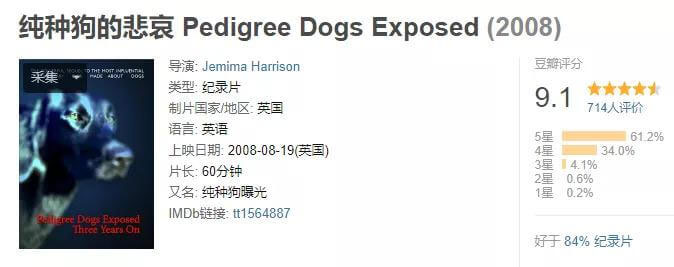 純種狗的悲哀：人類是如何讓它們走上絕路的？