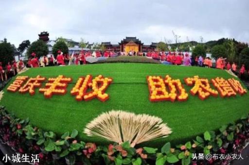 疫情期间,我国是否需要加大粮食生产和进口力度?