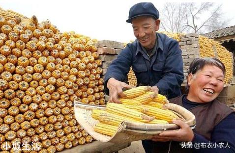 疫情期间,我国是否需要加大粮食生产和进口力度?