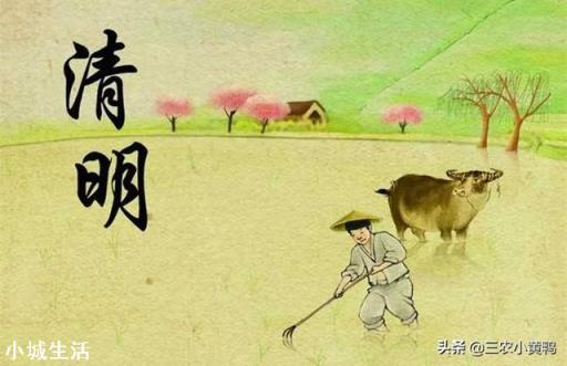 我市禁止清明上山扫墓！而农村由于路口多，该怎么防控？