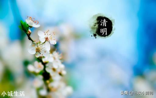 我市禁止清明上山扫墓！而农村由于路口多，该怎么防控？