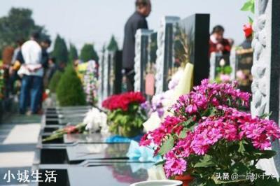 我市禁止清明上山扫墓！而农村由于路口多，该怎么防控？