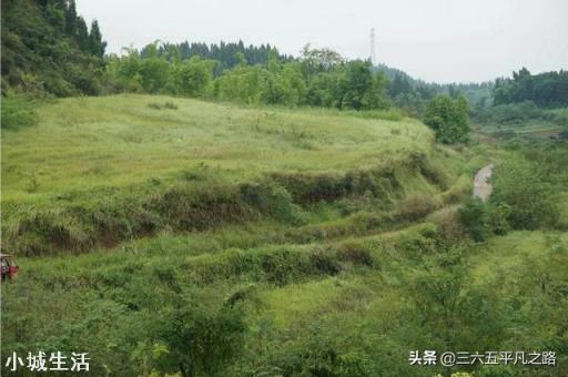 农村土地不够种，大量农民工入城打工，农村大片土地撂荒怎么办？